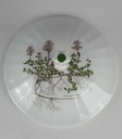 [458139047] Ragoutterrine Terrine 1,6 L Eschenbach Bayreuth Botanica gebraucht - gut Bild 5
