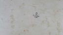 [458139189] Königskuchenplatte Golddekor Winterling Röslau Weiß gebraucht - akzeptabel Bild 6
