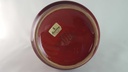 [45813974] Kaffeekanne 1,35 L Winterling bordo rot weiße Blumen Feinkeramik gebraucht - akzeptabel Bild 8