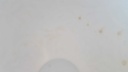 [45814001] Vase Dekorative 16,3 cm Gerold & Co Weiß gebraucht - gut Bild 7