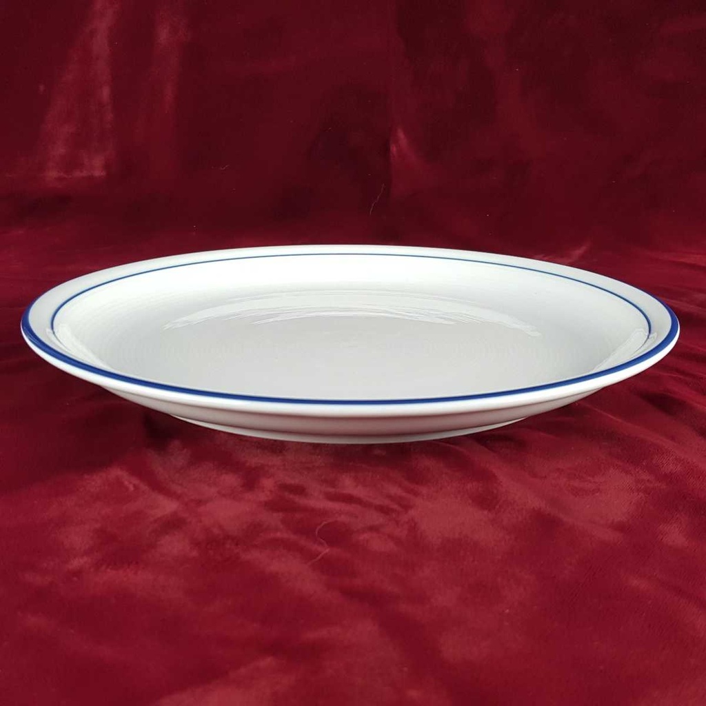 [458140639] Speiseteller Essteller 25,8 cm Thomas Porzellan Trend Circle Line Blauer Rand gebraucht - gut Bild 3