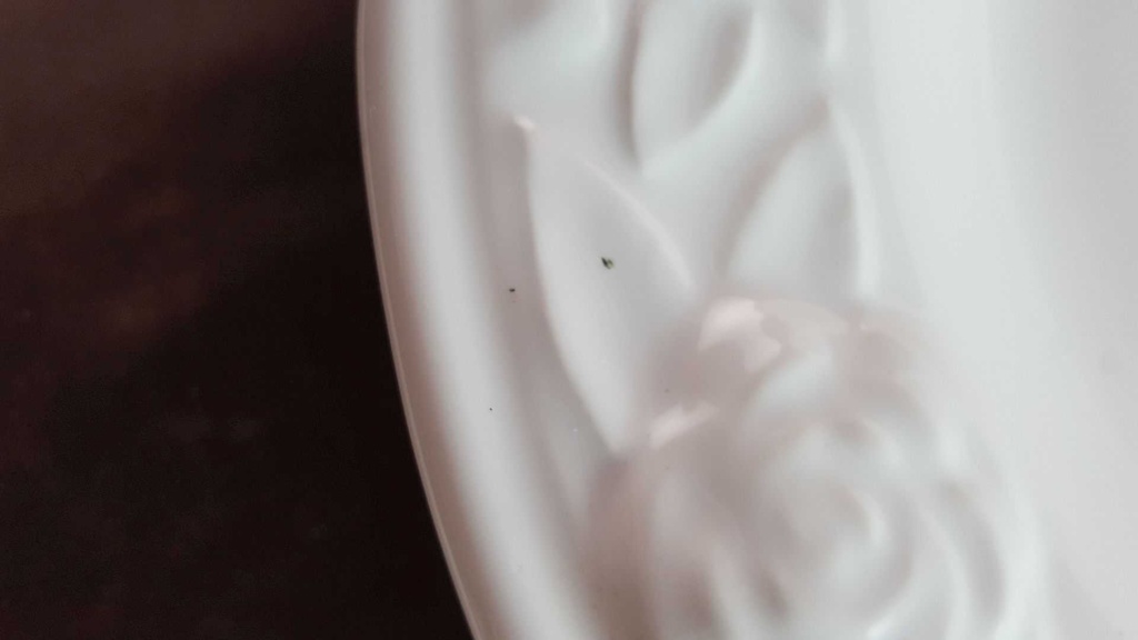 [45814125] Servierplatte groß 6,1 cm Einzelteile Weiß gebraucht - gut Bild 3