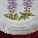 [458142386] Wandteller 21,7 cm Keine Angabe gebraucht - gut Bild 2