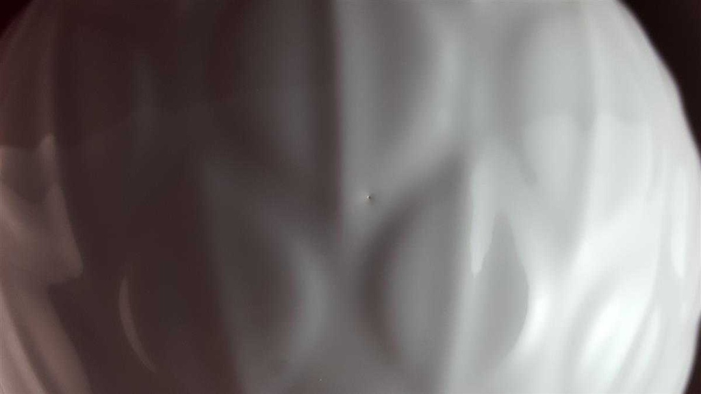 [45814244] Blumenvase 20,5 cm Eschenbach Weiß gebraucht - sehr gut Bild 5