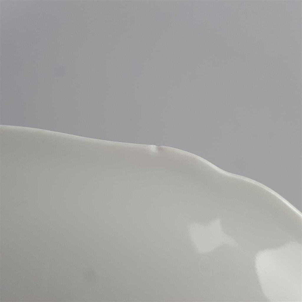 [458142468] Suppenteller 24,5 cm Rosenthal Chippendale Weiß Uni gebraucht - akzeptabel Bild 5