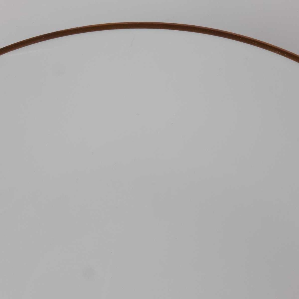 [458142502] Speiseteller Essteller Goldrand 24 cm Mitterteich weiß Bavaria gebraucht - gut Bild 3