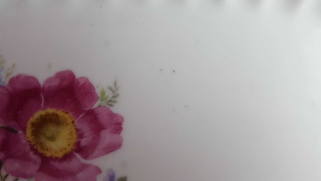 [45814347] Servierplatte Speiseplatte Fleischplatte Steakplatte Goldrand 44,8x17 cm Bauer & Pfeiffer Württemberg Floral gebraucht - gut Bild 5