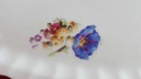 [45814347] Servierplatte Speiseplatte Fleischplatte Steakplatte Goldrand 44,8x17 cm Bauer & Pfeiffer Württemberg Floral gebraucht - gut Bild 6