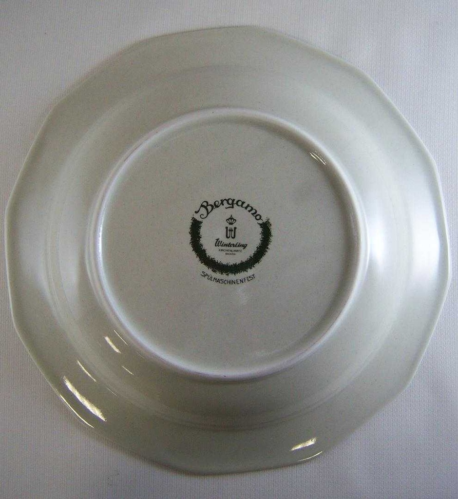 [4581457] Suppenteller 22,1 cm Winterling Kirchenlamitz Bergamo Grüner Rand gebraucht - sehr gut Bild 4