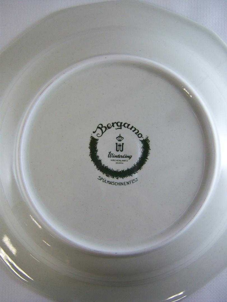 [4581457] Suppenteller 22,1 cm Winterling Kirchenlamitz Bergamo Grüner Rand gebraucht - sehr gut Bild 5
