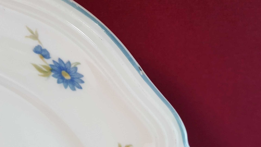 [45814821] Speiseteller Essteller 25,3 cm Rosenthal Chippendale bunte Blumen gebraucht - akzeptabel Bild 3