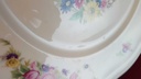 [45814821] Speiseteller Essteller 25,3 cm Rosenthal Chippendale bunte Blumen gebraucht - akzeptabel Bild 5