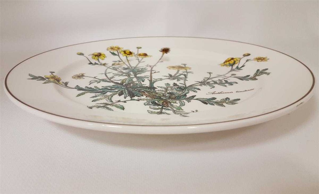 [4581488] Speiseteller Essteller 26,5 cm Villeroy & Boch Botanica II.Wahl Anthemis tinctoria II. Wahl Bild 2