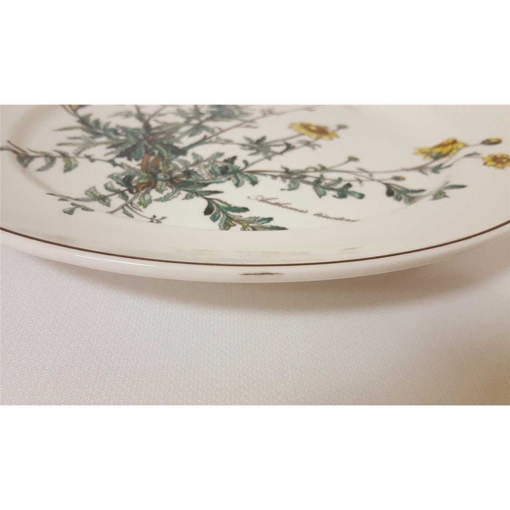 [4581488] Speiseteller Essteller 26,5 cm Villeroy & Boch Botanica II.Wahl Anthemis tinctoria II. Wahl Bild 3