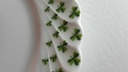 [45814945] Untertasse für Tee/Kaffee 14,5 cm Haviland Limoges Torse Trefle Vert Kleeblatt Bild 5