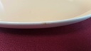 [45815167] Servierplatte Speiseplatte Fleischplatte 34x21,2 cm Villeroy & Boch Mettlach Saar Apricot gebraucht - gut Bild 5