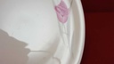 [45815247] Kuchenteller Dessertteller Frühstücksteller Goldrand 19,8 cm Zeh Scherzer Rote Rose mit gebraucht - gut Bild 2