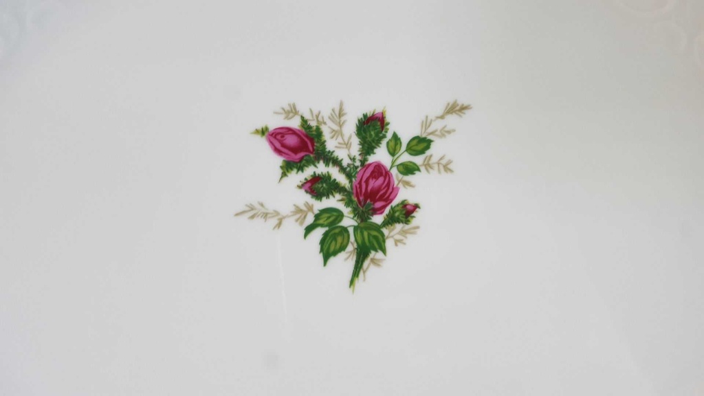 [45815715] Servierplatte Speiseplatte Fleischplatte Steakplatte 32x22 cm Seltmann Weiden Wien Moosrose 26477 gebraucht - akzeptabel Bild 3