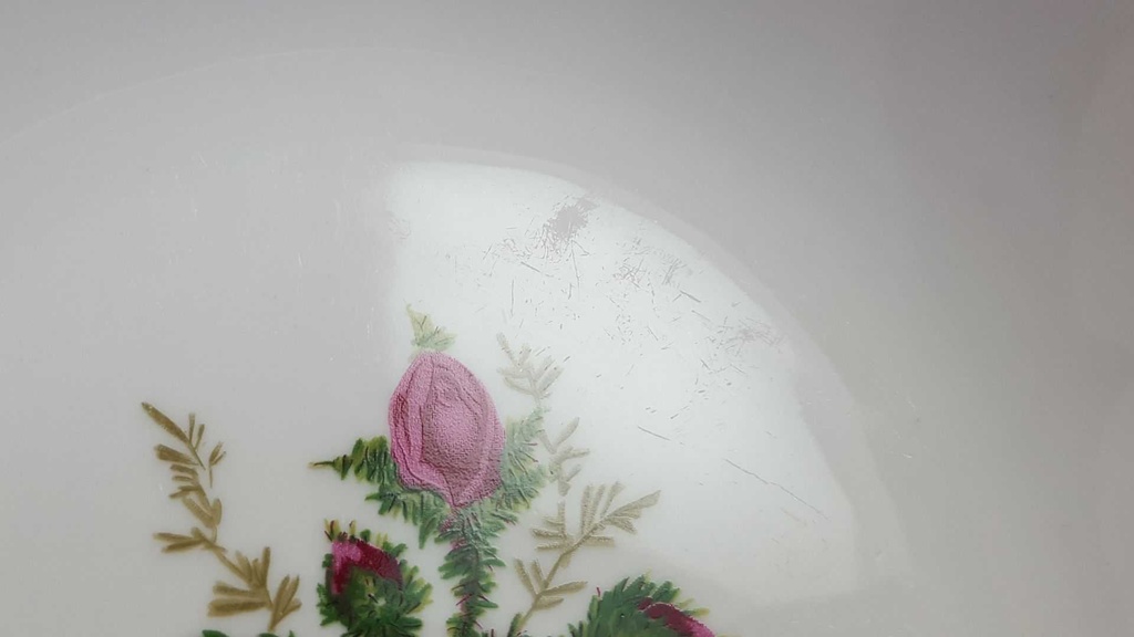 [45815717] Schüssel Servierschüssel 23,5 cm Seltmann Weiden Wien Moosrose 26477 gebraucht - akzeptabel Bild 5
