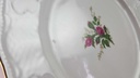 [45815721] Speiseteller Essteller 24,4 cm Seltmann Weiden Wien Moosrose 26477 gebraucht - akzeptabel Bild 5