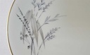 [45815731] Kuchenteller Dessertteller Frühstücksteller 19,8 cm Edelstein Bavaria Gräser 20764 Elfenbein gebraucht - akzeptabel Bild 5