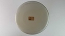 [45815807] Vase Blumenvase 25,5 cm Einzelteile Schindler Israel gebraucht - gut Bild 7
