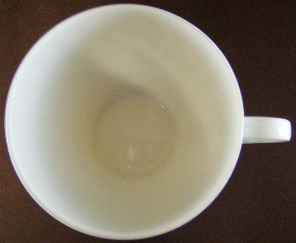 [4581593] Kaffeetasse Tasse Thomas Porzellan Lanzette Weiß Bild 2