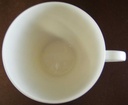 [4581593] Kaffeetasse Tasse Thomas Porzellan Lanzette Weiß Bild 2
