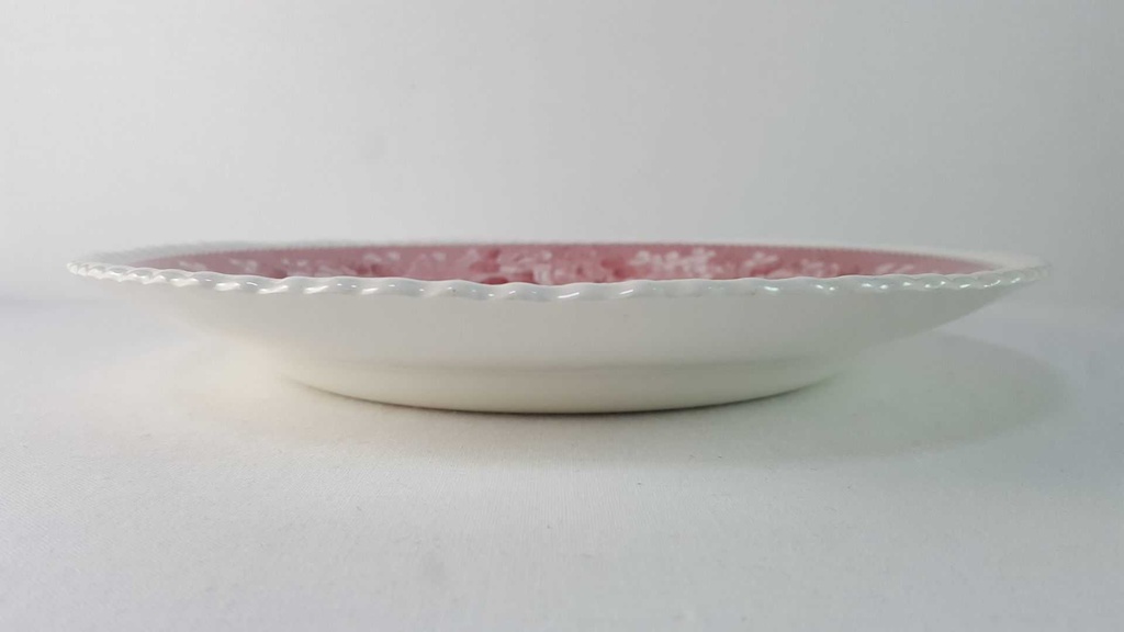 [45815945] Suppenteller 26 cm Adams English Scenic Rot gebraucht - gut Bild 3