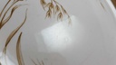[45815985] Speiseteller Essteller mikrowellengeeignet 24,5 cm Churchill England Windrush gebraucht - akzeptabel Bild 5