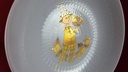 [45816055] Gebäckschale Konfektschale 18,5 cm Rosenthal Romanze Primavera gebraucht - neuwertig Bild 4
