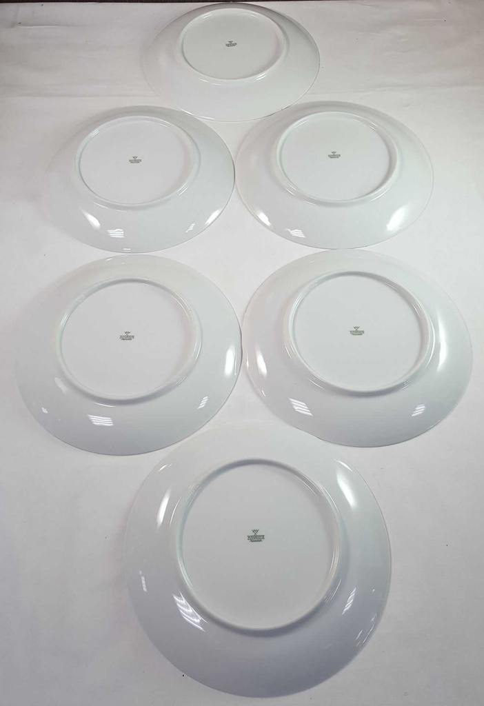 [2119120] 6er Set Speiseteller Essteller 24,5 cm Mitterteich Form 890 blau grün rot Blumendekor Blumen gebraucht - gut Bild 6
