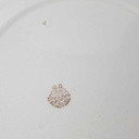 [458163861] Speiseteller Essteller 24,5 cm VEB Dresden Blumendekor grün gelb Blumen gebraucht - akzeptabel Bild 4
