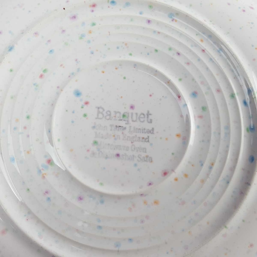 [458163905] Kuchenteller Dessertteller 19 cm John Tams Banquet blauer Rand gebraucht - gut Bild 5