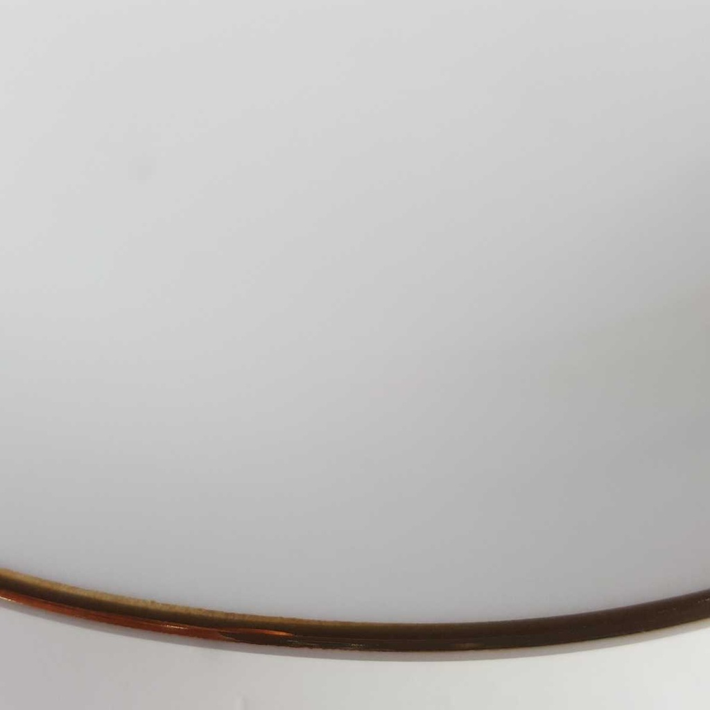 [2119139] 6er Set Suppenteller Goldrand 22,3 cm Seltmann Weiden Vohenstrauß weiß gebraucht - gut Bild 7