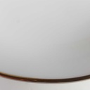 [2119139] 6er Set Suppenteller Goldrand 22,3 cm Seltmann Weiden Vohenstrauß weiß gebraucht - gut Bild 7