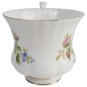 [458164257] Kaffeetasse klein 0,1 L Royal Albert Moss Rose gebraucht - gut Bild 2