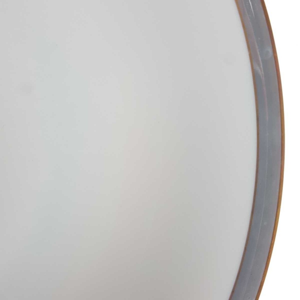 [458164305] Suppenteller Goldrand 22,8 cm Edelstein Bavaria Grauband 21499 gebraucht - gut Bild 3