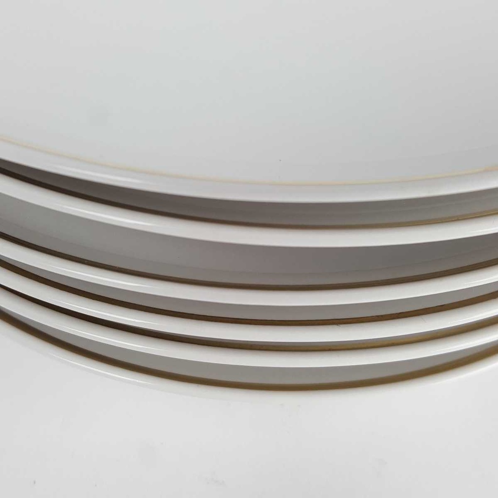 [2119161] 6er Set Speiseteller Essteller Goldrand 24,2 cm Bavaria Germany weiß gebraucht - gut Bild 4