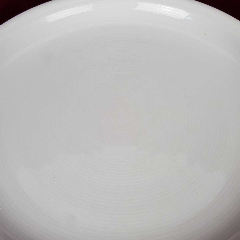 [458164867] Speiseteller Essteller 25,7 cm Thomas Porzellan Trend Weiß gebraucht - akzeptabel Bild 3
