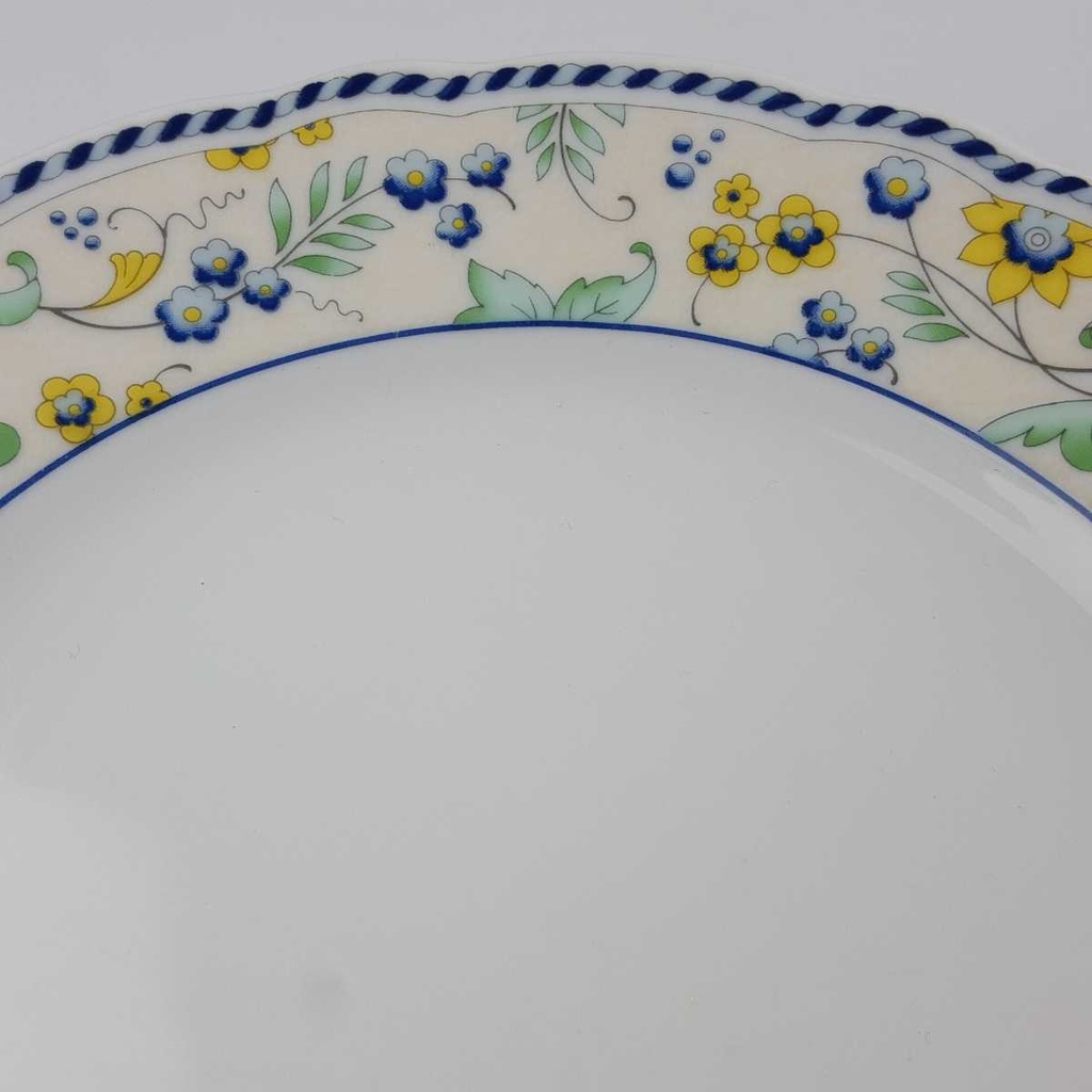 [458164894] Kuchenteller Dessertteller 19,7 cm TCM Tchibo Ingres Weiss Marienbad Wiesenblume Blau gebraucht - gut Bild 3