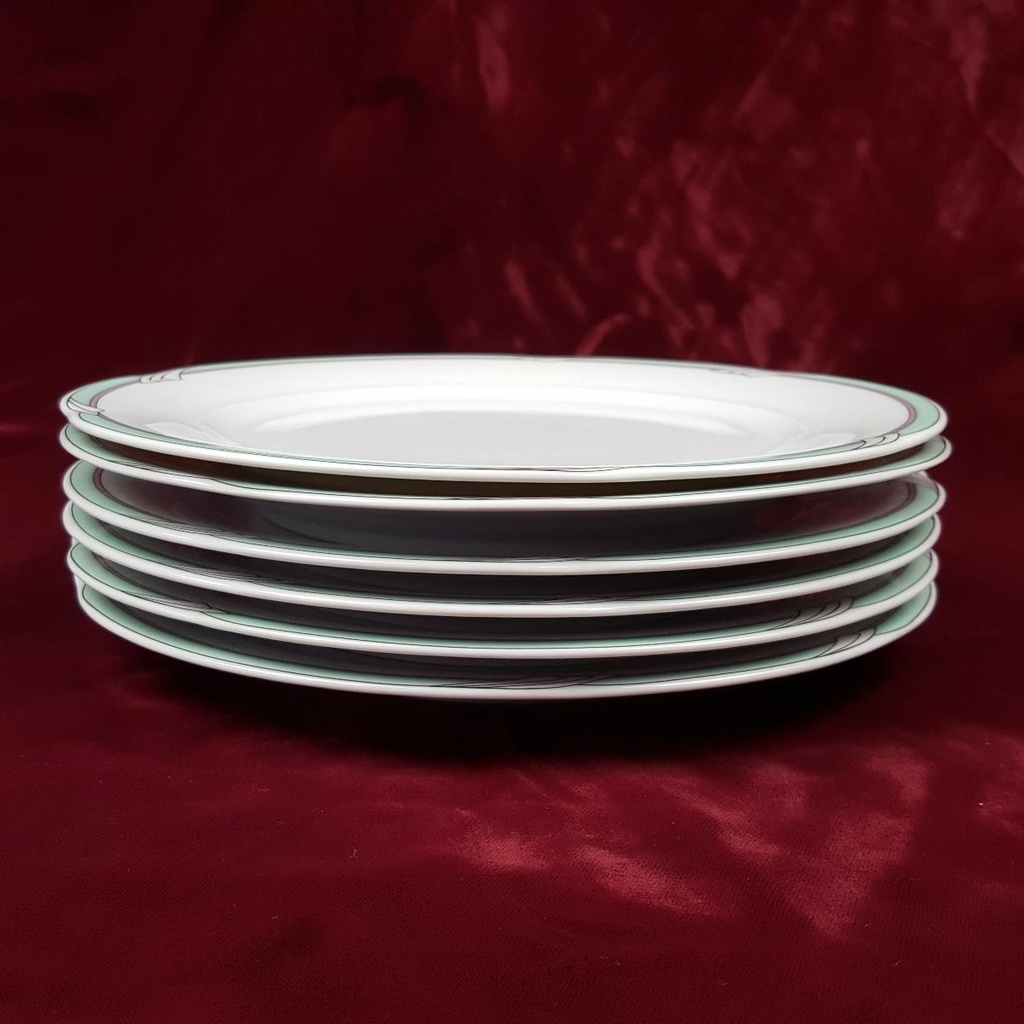 [2119202] 6er Set Speiseteller Essteller 24 cm Colditz gebraucht - gut Bild 2