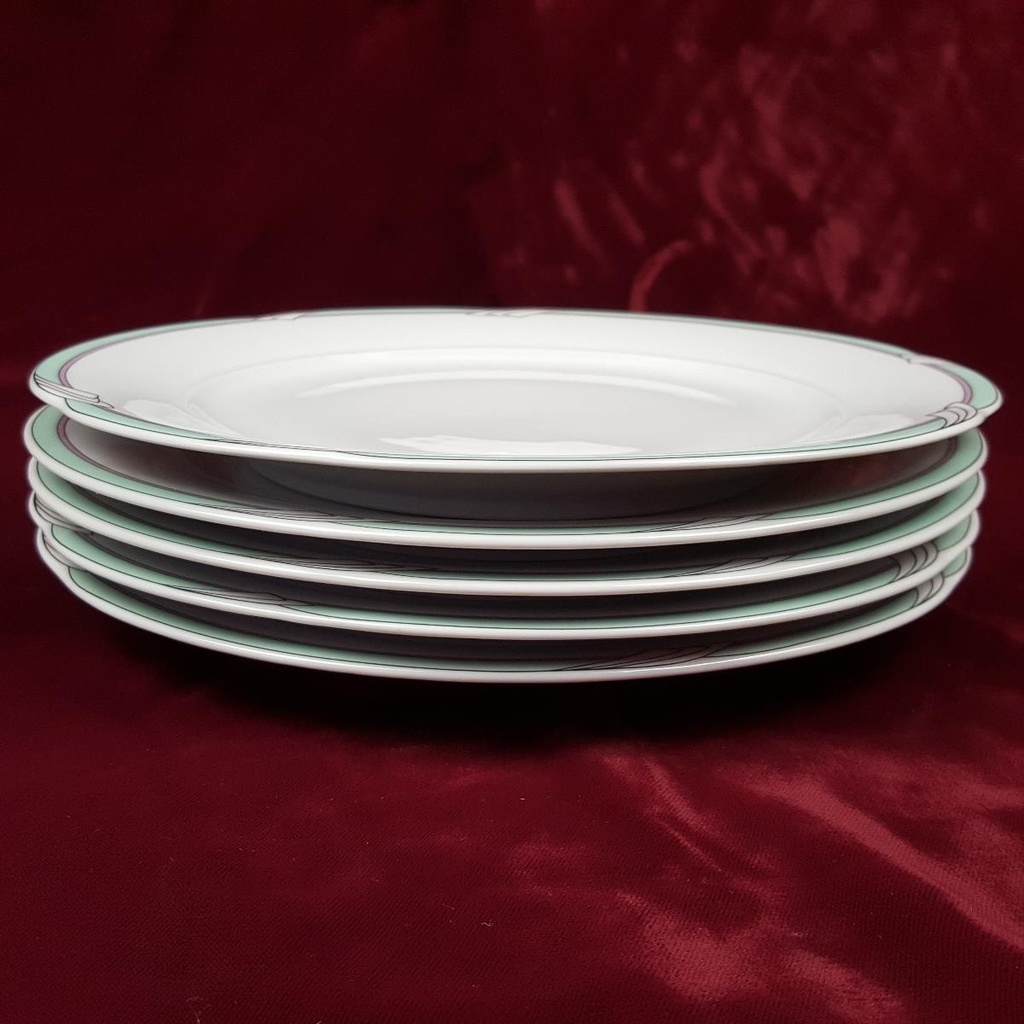 [2119203] 5er Set Speiseteller Essteller 24 cm Colditz gebraucht - gut Bild 2
