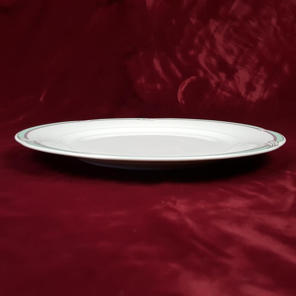 [2119203] 5er Set Speiseteller Essteller 24 cm Colditz gebraucht - gut Bild 4