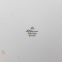 [458166267] Speiseteller Essteller 24,1 cm Seltmann Weiden Form 25475 grau gold Dekor Bild 5