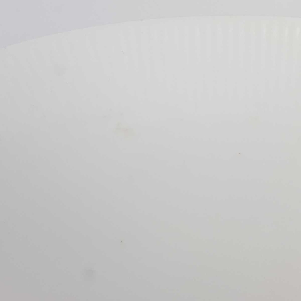 [458166718] Fleischplatte 28,2x19,4 cm Seltmann Weiden Monika Weiß gebraucht - akzeptabel Bild 5
