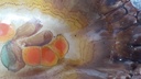 [45816674] Schale Obstschale 8,7 cm Dümler & Breiden Höhr gebraucht - akzeptabel Bild 7