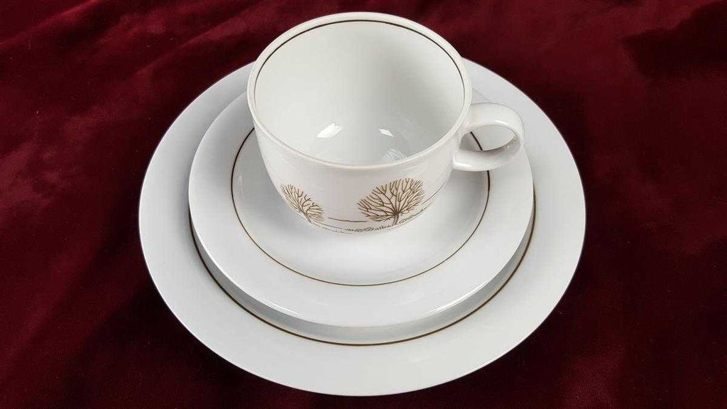 [45816699] Kaffeegedeck 3tlg Winterling Kirchenlamitz Carola gebraucht - gut Bild 3
