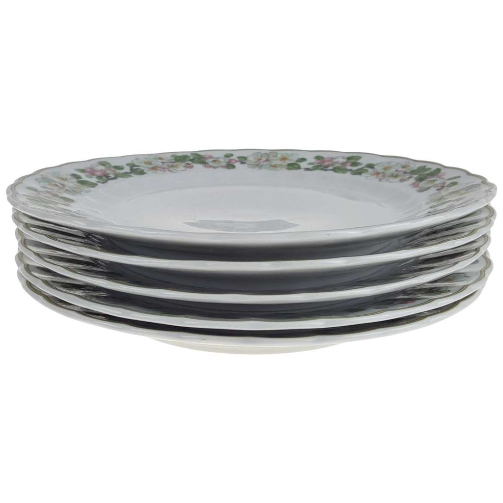 [2119257] 5er Set Speiseteller Essteller 24,3 cm Eschenbach Blumenranke gebraucht - akzeptabel Bild 2