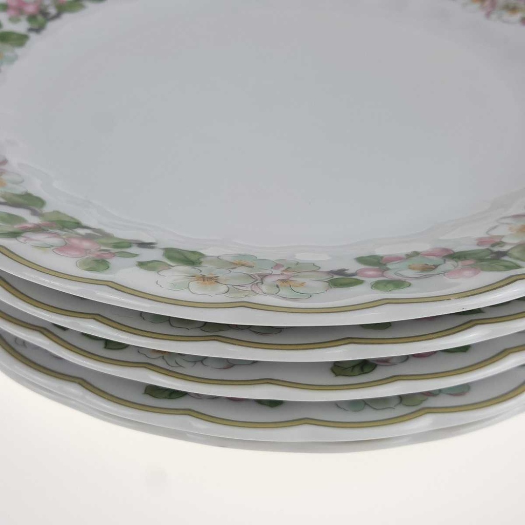 [2119257] 5er Set Speiseteller Essteller 24,3 cm Eschenbach Blumenranke gebraucht - akzeptabel Bild 3